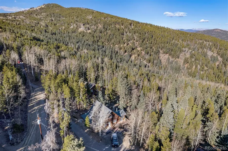 356 Castlewood Drive, Evergreen, CO 80439 - Image #3