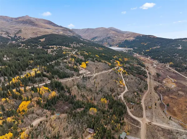 Tract B Roberts Road, Alma, CO 80420