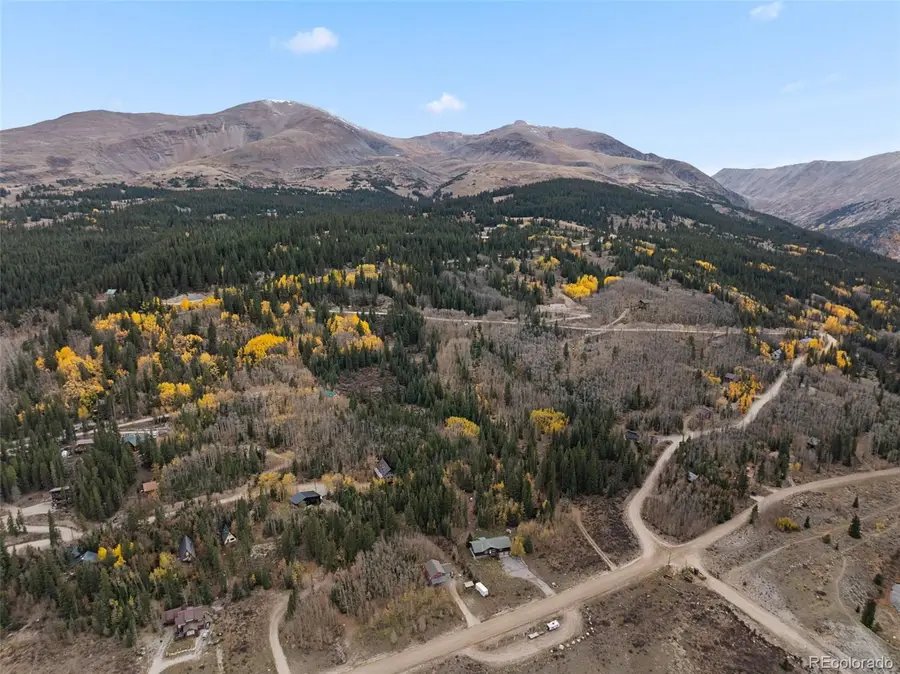 Tract B Roberts Road, Alma, CO 80420 - #2