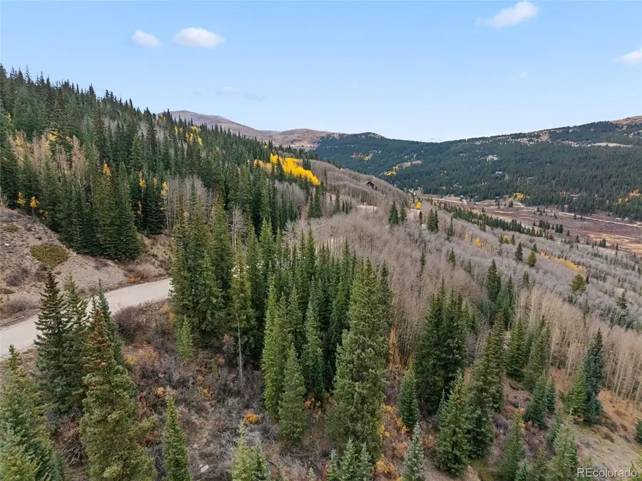 Tract B Roberts Road, Alma, CO 80420 - #3