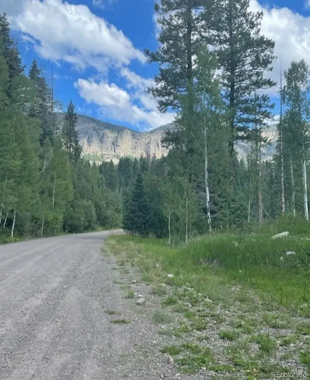 207 Camp Robber Drive, Creede, CO 81130 - #1