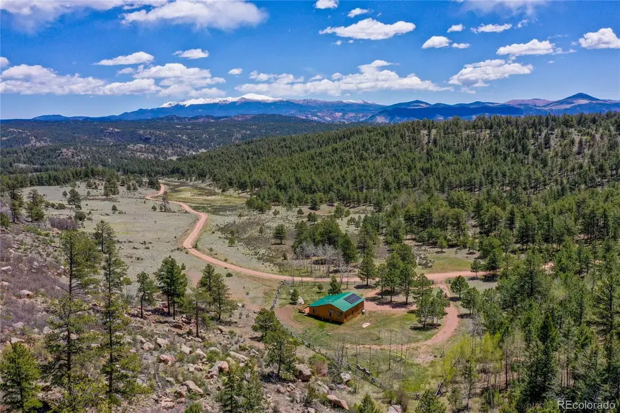 437 Langnis Road, Guffey, CO 80820 - #2
