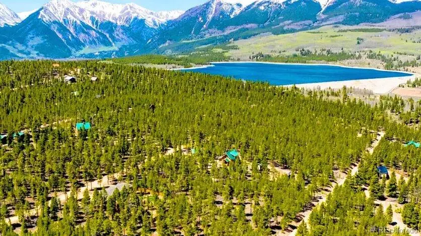 Lot 56 Lodgepole Drive, Twin Lakes, CO 80461 - #2