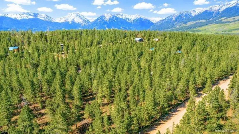 Lot 56 Lodgepole Drive, Twin Lakes, CO 80461 - #3