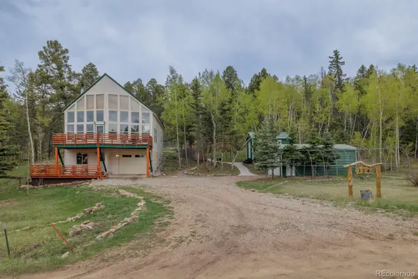 124 Bear Trail, Lake George, CO 80827