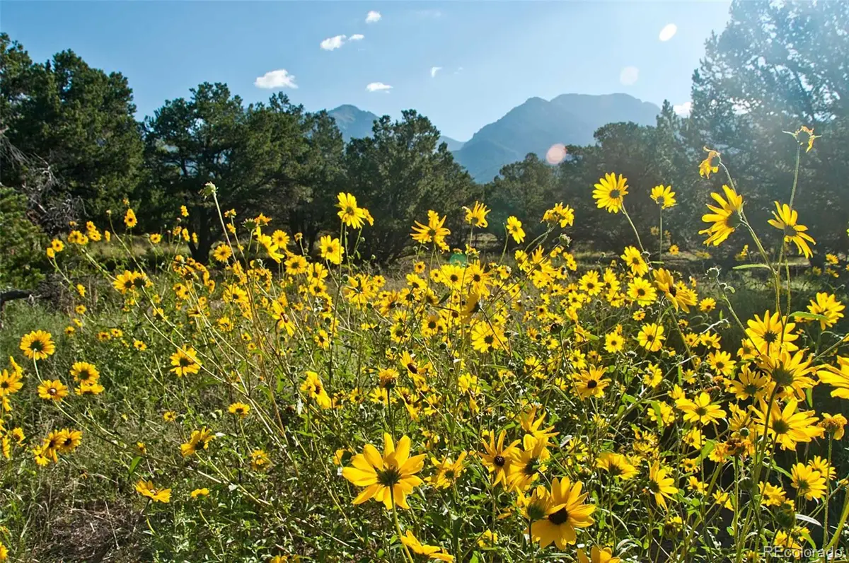 1195 Hilltop Way, Crestone, CO 81131 - Image #1