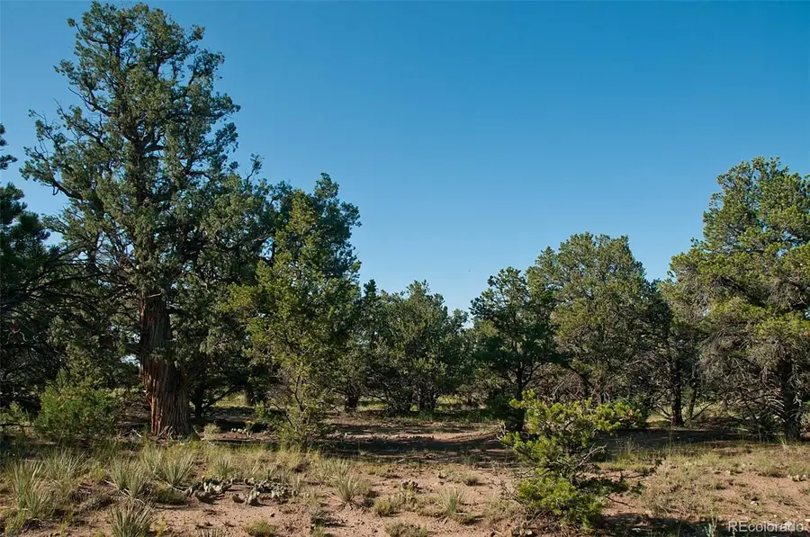 1195 Hilltop Way, Crestone, CO 81131 - Image #2