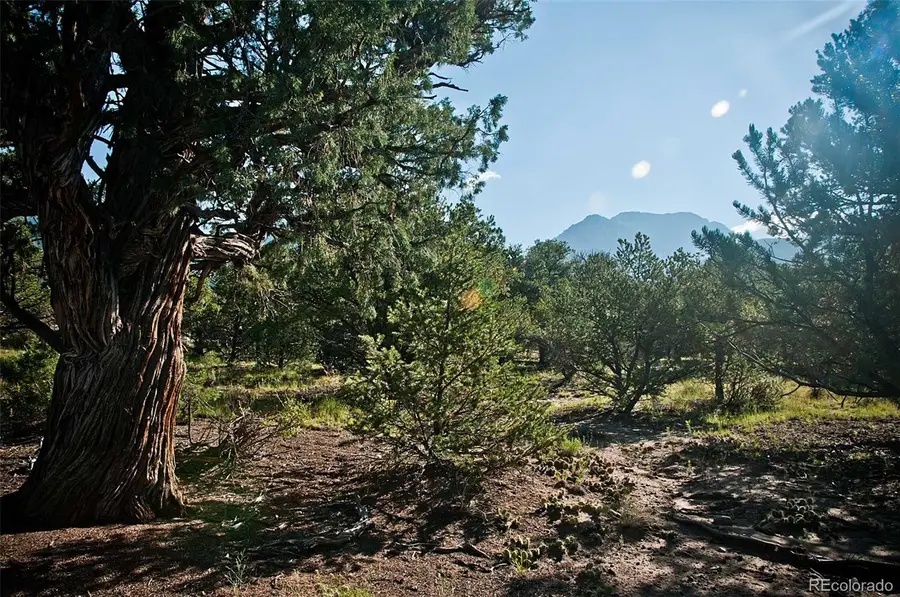 1195 Hilltop Way, Crestone, CO 81131 - Image #3