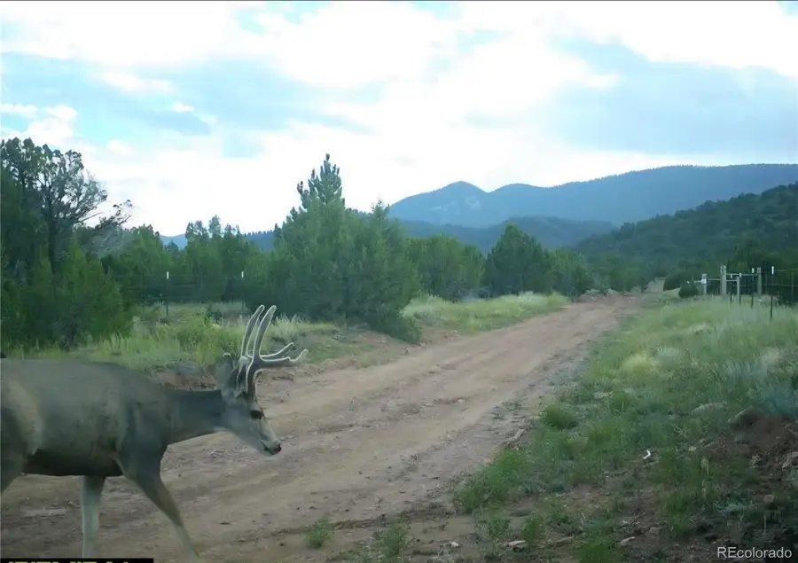 6179 84 County Road, Florence, CO 81226 - Image #3