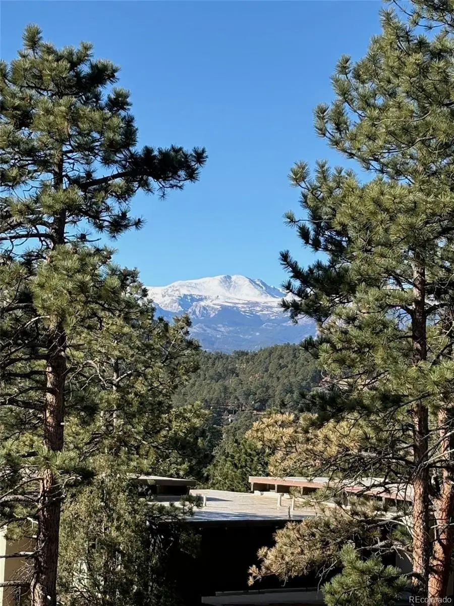 29033 Wild Rose Drive, Evergreen, CO 80439 - #3