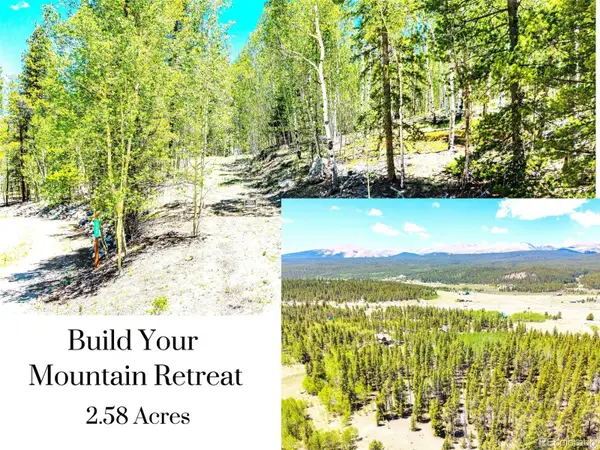 134 Prospect Drive, Alma, CO 80420