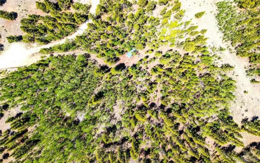 134 Prospect Drive, Alma, CO 80420 - #2