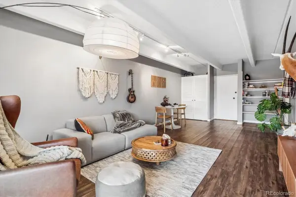 1255 N Ogden Street #205, Denver, CO 80218