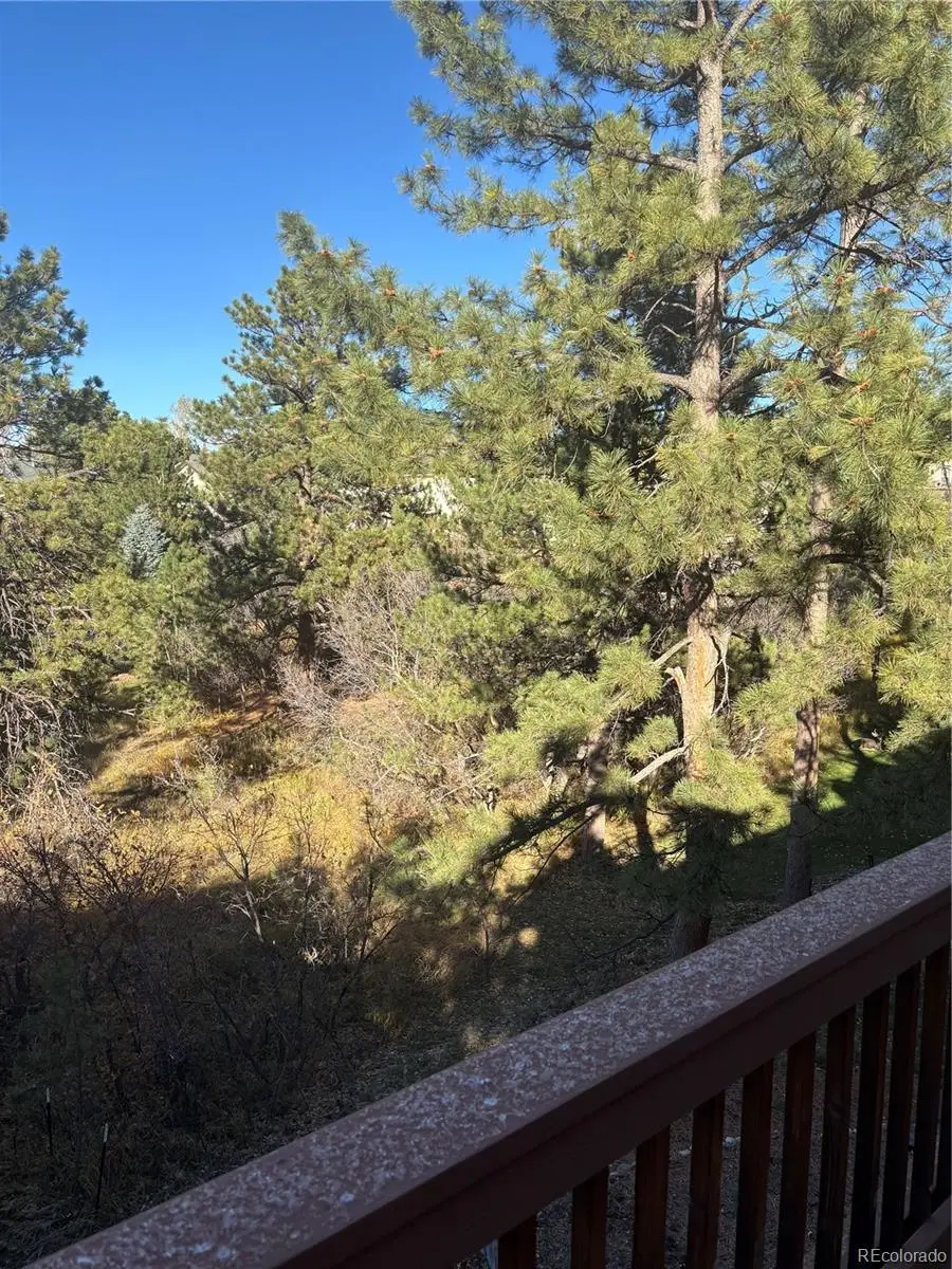 7049 Forest Ridge Circle, Castle Pines, CO 80108 - Image #3