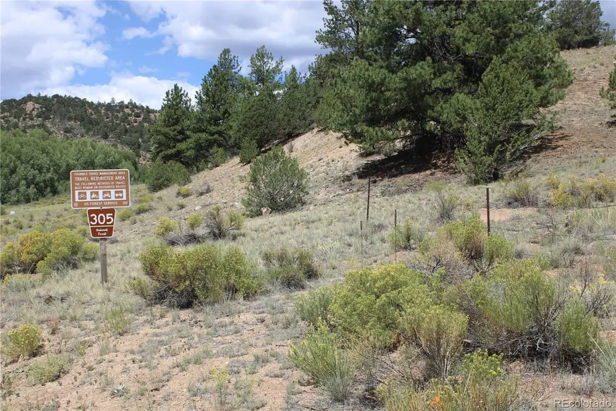 29355 Cr-305, Buena Vista, CO 81211 - #3