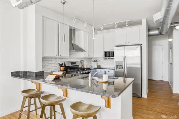 1313 S Clarkson Street #208, Denver, CO 80210