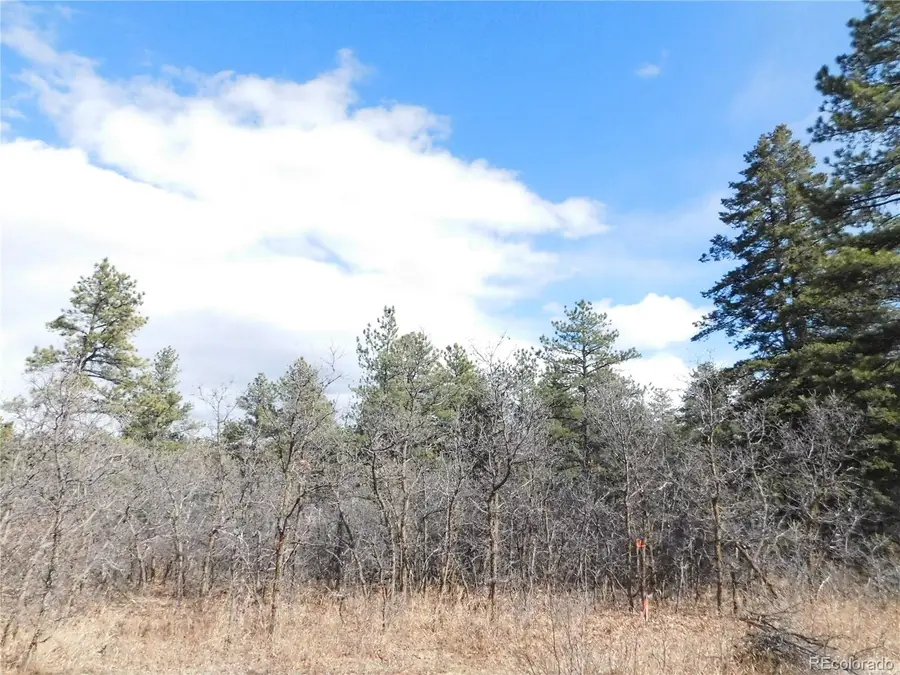 8122 Acoma Drive, Larkspur, CO 80118 - #2