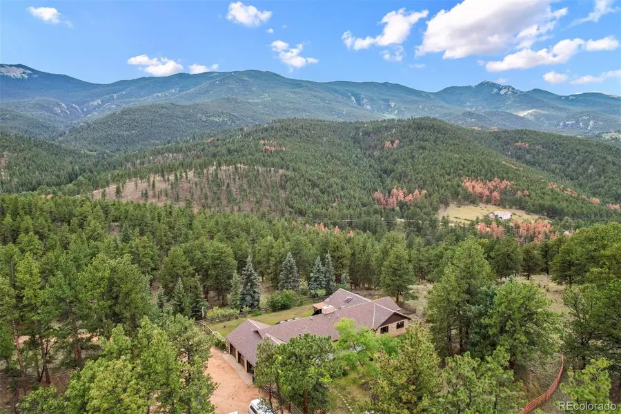 901 Cr 64, Bailey, CO 80421 - #3