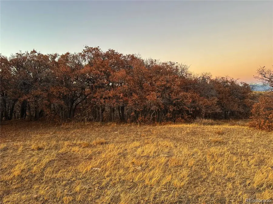 168 Colorado Land And Grazing, Gardner, CO 81040 - Image #3