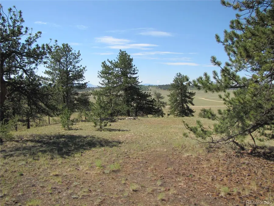 984 Arapahoe Trail, Hartsel, CO 80449 - #3