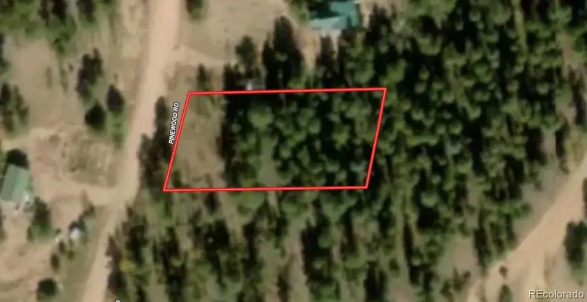 372 Pinewood Road, Florissant, CO 80816 - #1