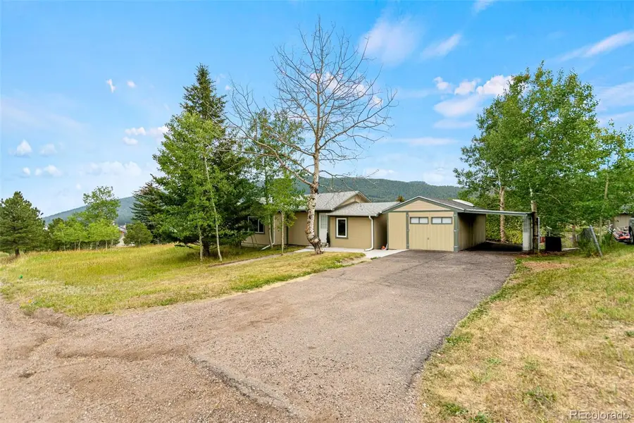 26274 Cornelius Street, Conifer, CO 80433 - #2