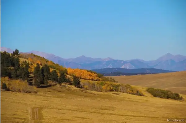 1245 Coochee Trail, Guffey, CO 80820