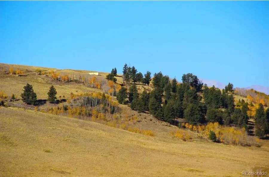 1245 Coochee Trail, Guffey, CO 80820 - #2