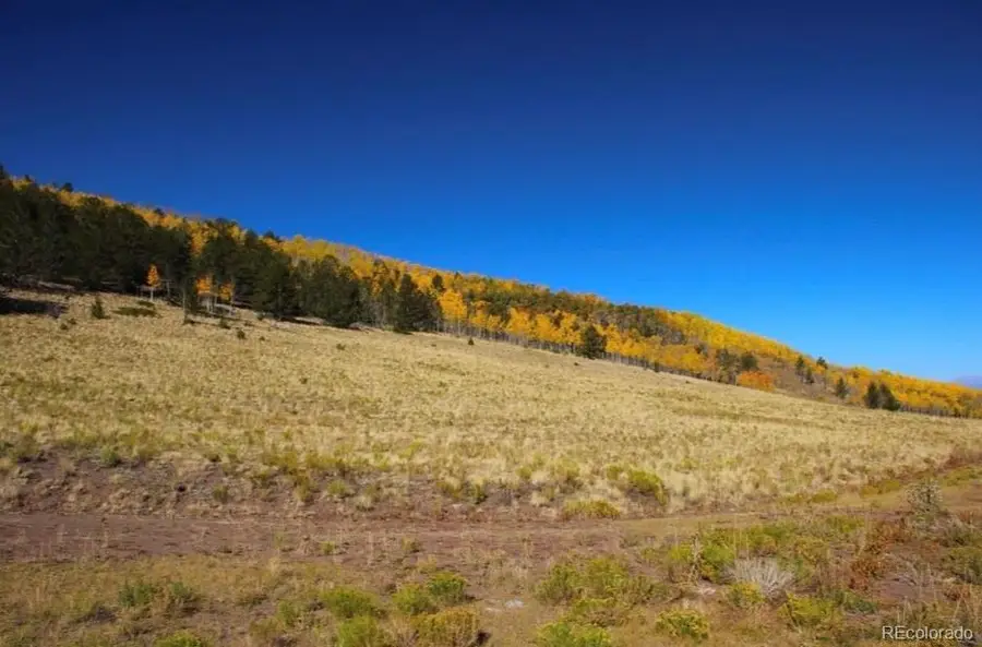 1245 Coochee Trail, Guffey, CO 80820 - #3