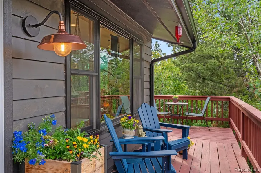 10 Rudi Lane, Golden, CO 80403 - #2