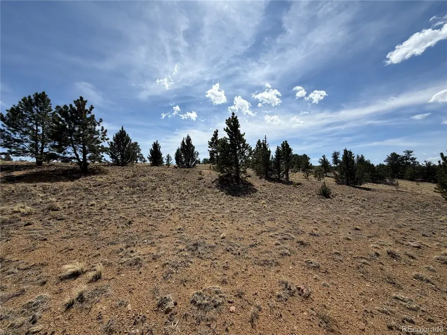 2839 Fitzsimmons Road, Hartsel, CO 80449 - #2