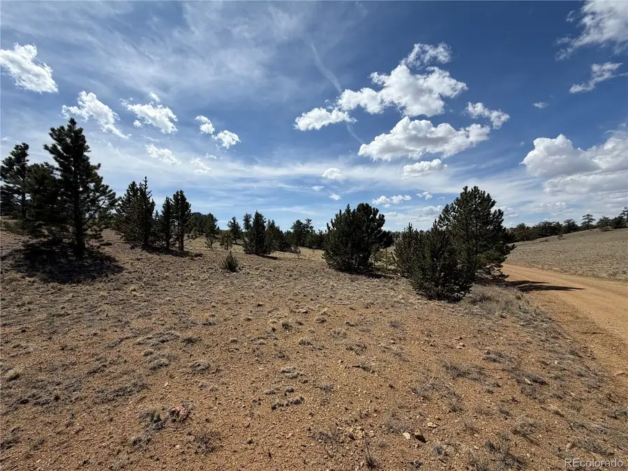 2839 Fitzsimmons Road, Hartsel, CO 80449 - #3