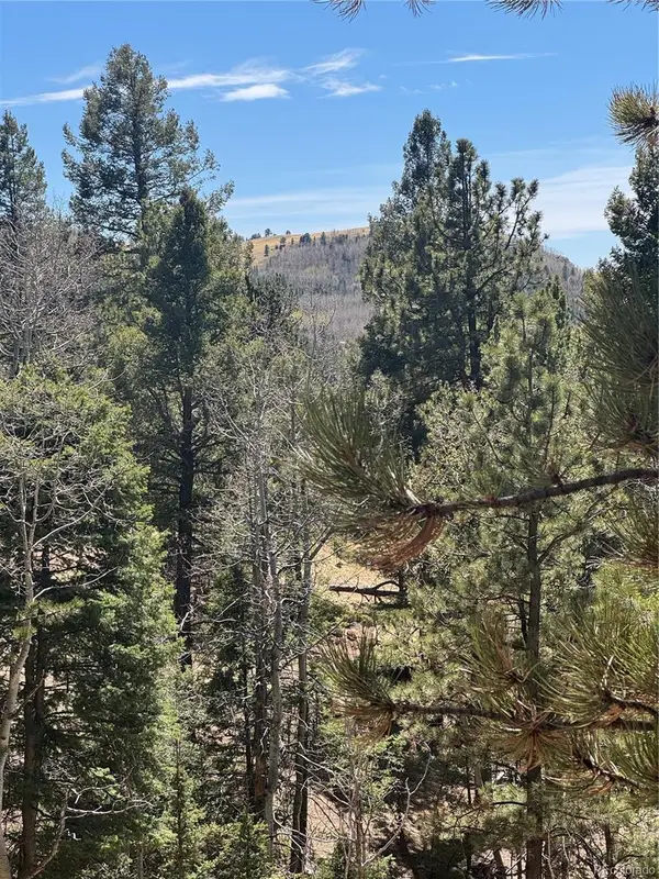 288 Troy Drive, Cripple Creek, CO 80813