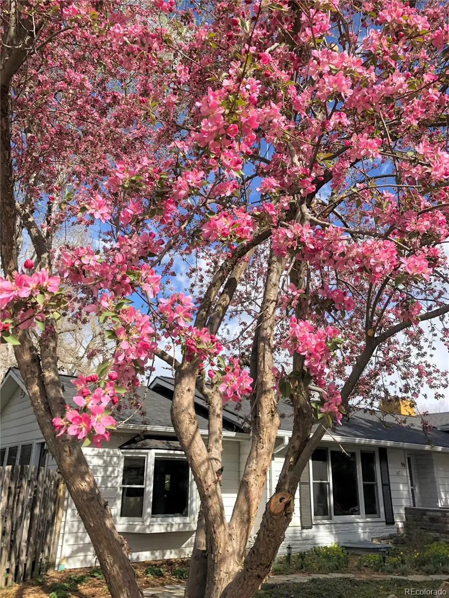 99 S Holland Street, Lakewood, CO 80226 - #3