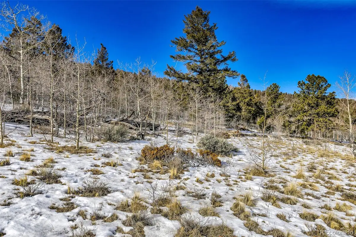 2996 Redhill Road, Fairplay, CO 80440 - Image #1