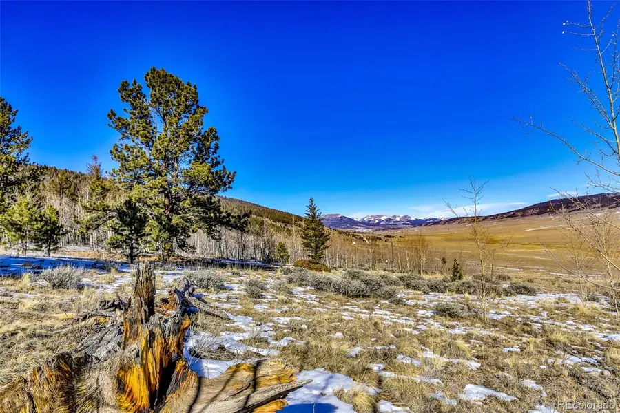 2996 Redhill Road, Fairplay, CO 80440 - Image #2