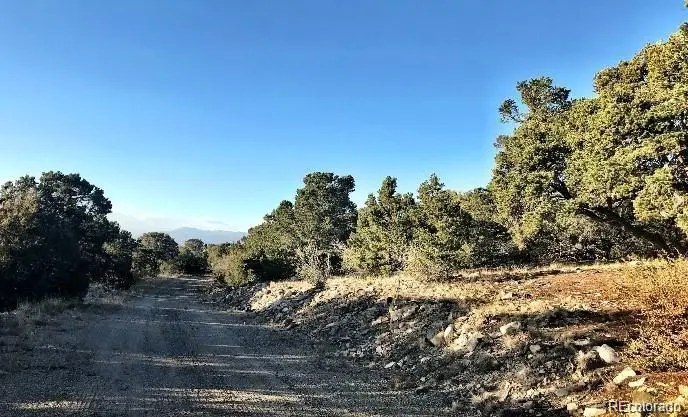 233 Lake Of The Falls Parkway, Mosca, CO 81146 - #3