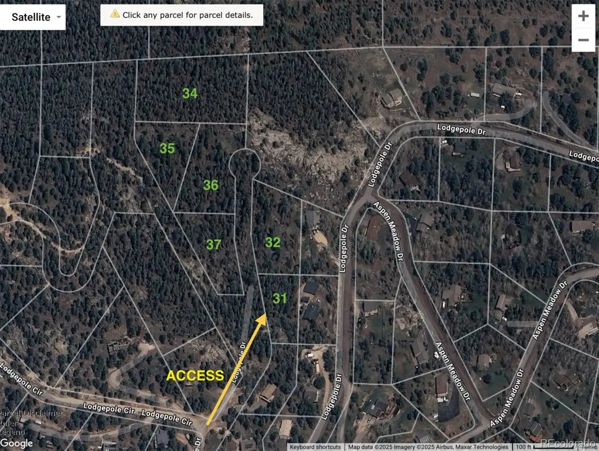 32561 Lodgepole Drive, Evergreen, CO 80439 - #1