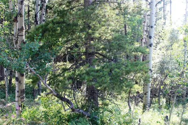 Lot 028 Sunflower Lane, Black Hawk, CO 80422