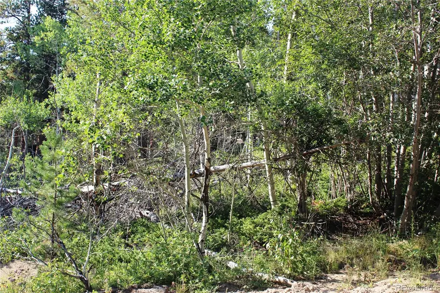 Lot 028 Sunflower Lane, Black Hawk, CO 80422 - #2