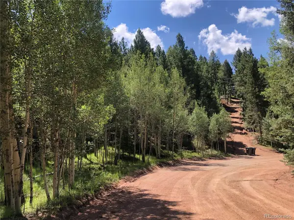 3015 N Mountain Estates Road, Florissant, CO 80816