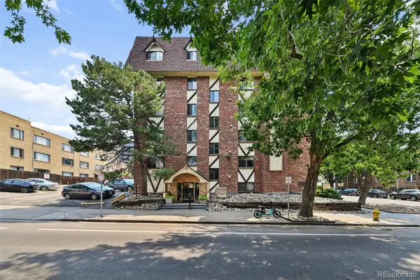 1008 N Corona Street #502, Denver, CO 80218