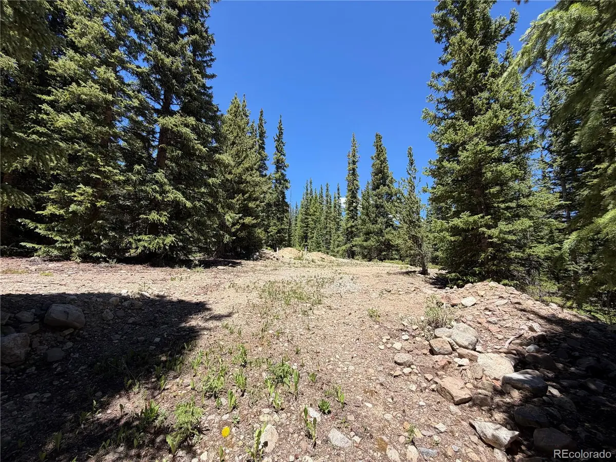 339 Silverheels Place, Fairplay, CO 80440 - #1