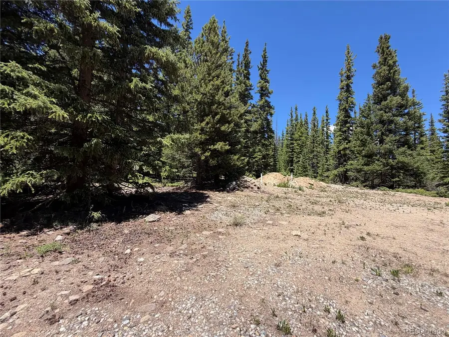 339 Silverheels Place, Fairplay, CO 80440 - #3