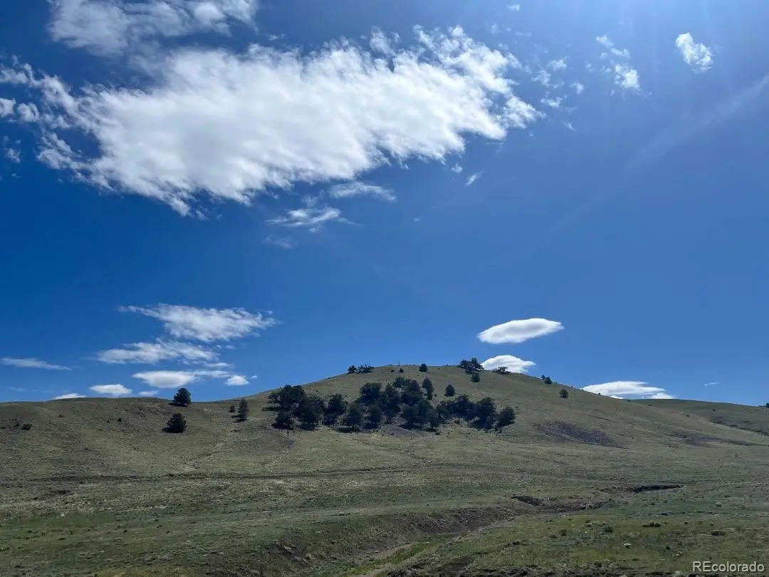 110 Watonga Road, Lake George, CO 80449 - #1