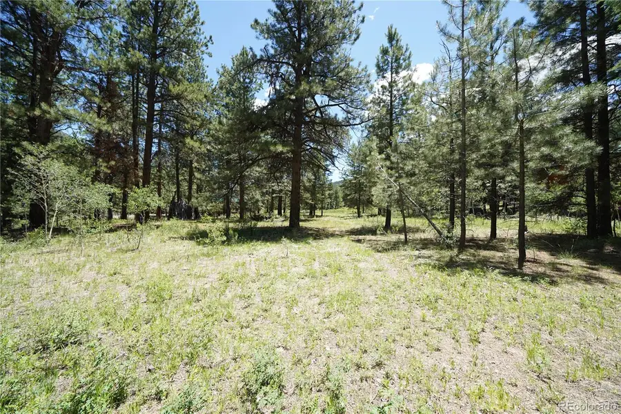 136 Elk Meadow Run, Antonito, CO 81120 - #2