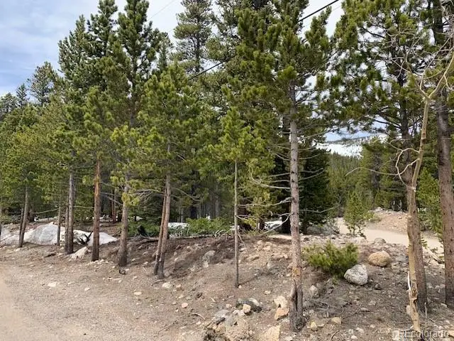 Alice Road, Idaho Springs, CO 80452 - Image #2