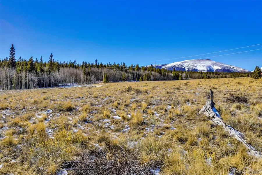 1957 Coil Drive, Fairplay, CO 80440 - #3