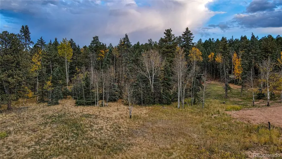 166 Denwood Drive, Florissant, CO 80816 - Image #2