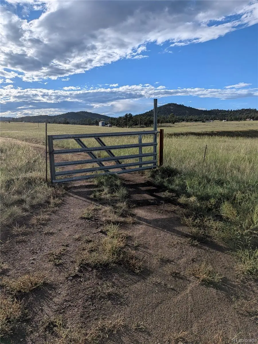 1263 23rd Trail, Cotopaxi, CO 81223 - #2
